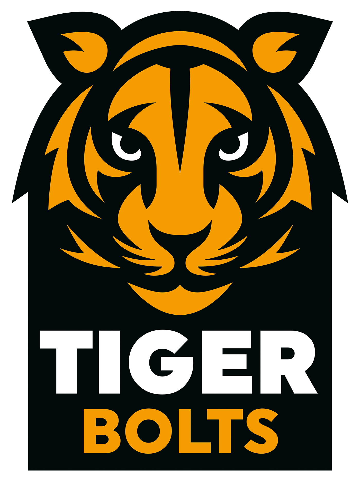 TIGER Ties Logo